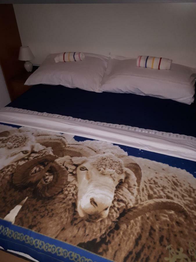 Luminaria Solis Vacation Home Rogoznica  Extérieur photo